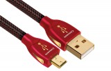    AudioQuest AudioQuest Cinnamon USB mini 5m