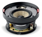     Focal 300 ICW 4